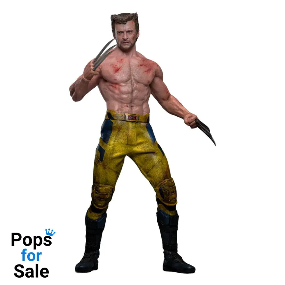 Deadpool & Wolverine Movie Masterpiece Action Figure 1/6 Wolverine (TVA Jacket Version) 31 cm