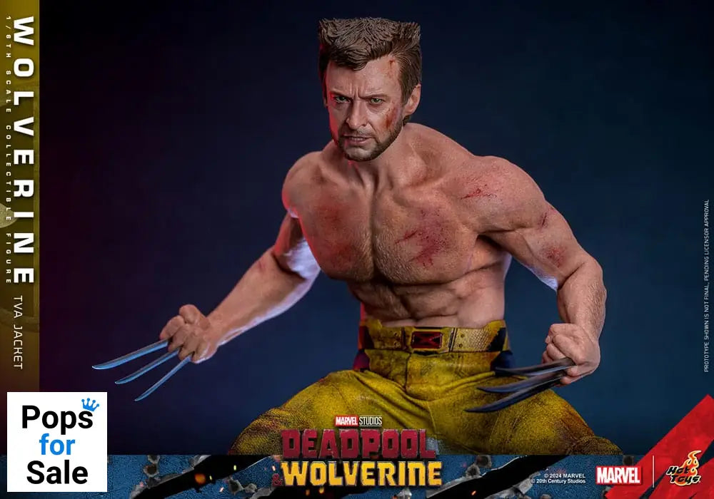 Deadpool & Wolverine Movie Masterpiece Action Figure 1/6 Wolverine (TVA Jacket Version) 31 cm