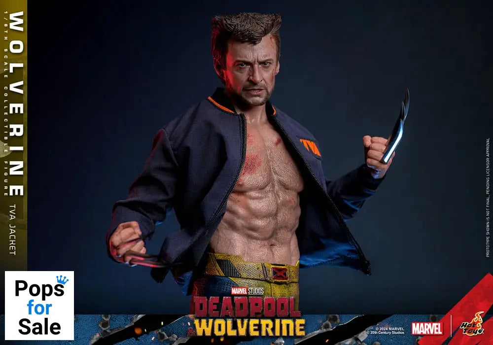 Deadpool & Wolverine Movie Masterpiece Action Figure 1/6 Wolverine (TVA Jacket Version) 31 cm