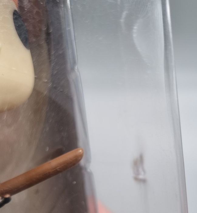 53 Ginny Weasley (Broom) - Harry Potter - Box Damaged Funko POP