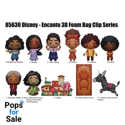 Encanto 3D Foam Bag Clips Series 52 Display (24)