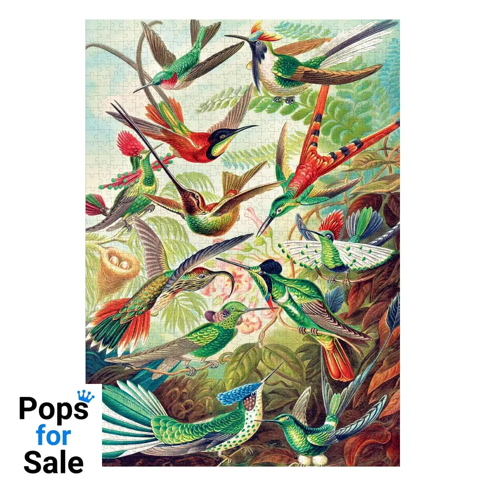 Ernst Haeckel Imagination Puzzle Hummingbirds/Kolibry (1000 pieces)
