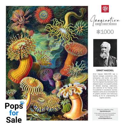 Ernst Haeckel Imagination Puzzle Sea Anemones/Stworzenia morskie (1000 pieces)