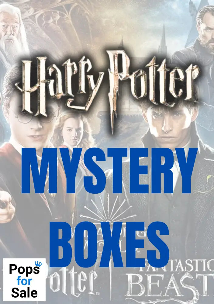 Funko Pop Harry Potter & Fantastic Beasts Mystery Box