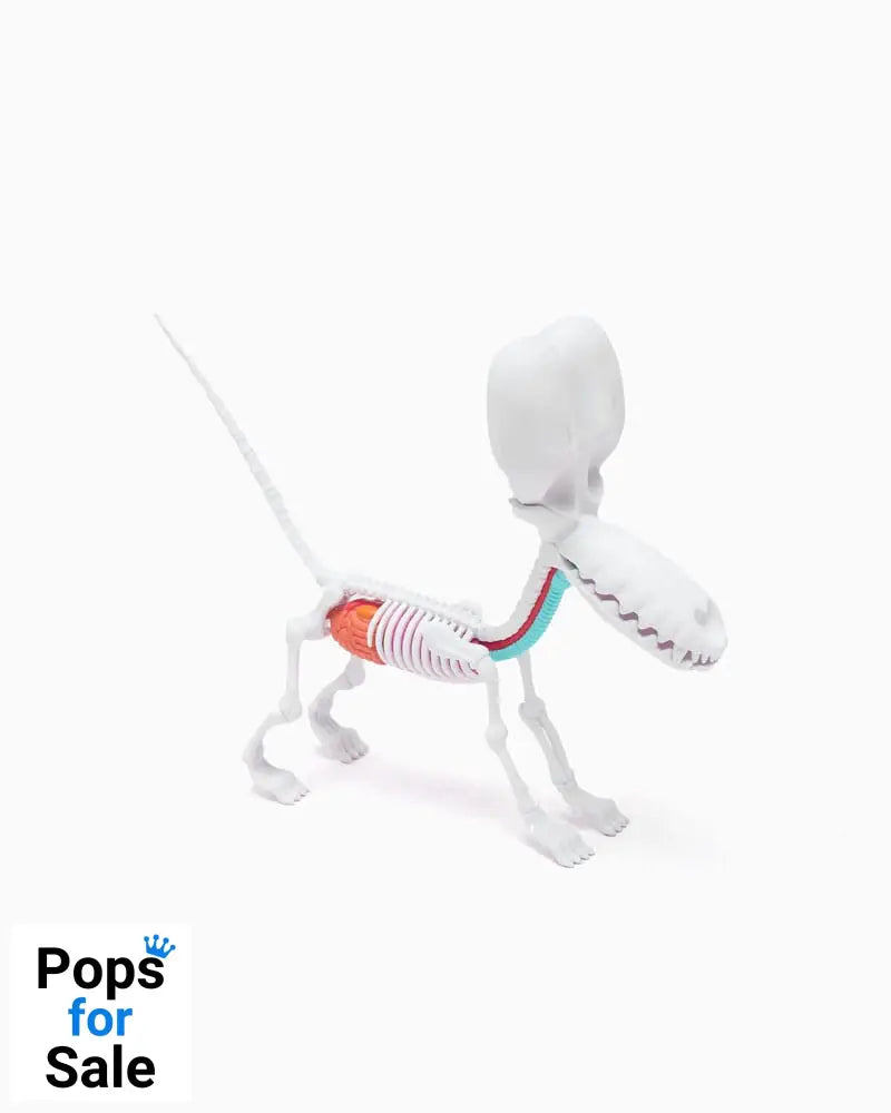 Funny Anatomy Honey Edition Balloon Dog Statue