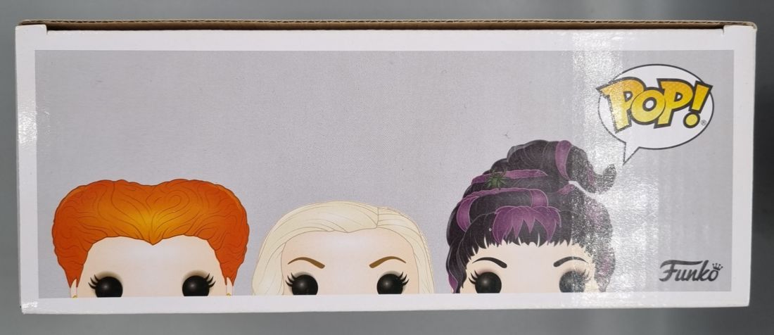 [3 Pack] The Sanderson Sisters (Flying) Disney Hocus Pocus Funko POP