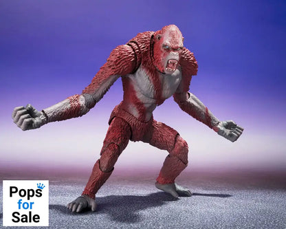 Godzilla x Kong: The New Empire S.H. MonsterArts Action Figure Skar King