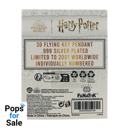 Harry Potter.999 Silver Plated Flying Key Necklace Necklace