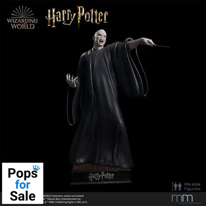 Harry Potter and the Deathly Hallows Life-Size Statue Voldemort 211 cm