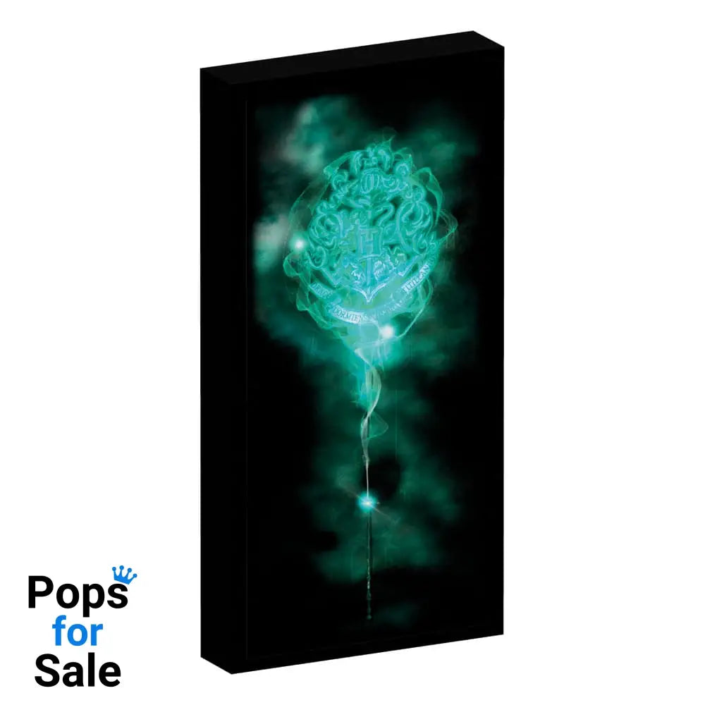 Harry Potter Canvas Poster (With Light)