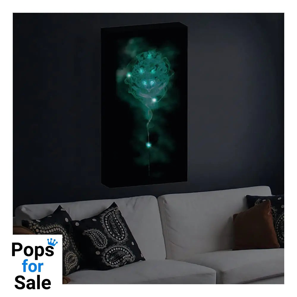 Harry Potter Canvas Poster (With Light)