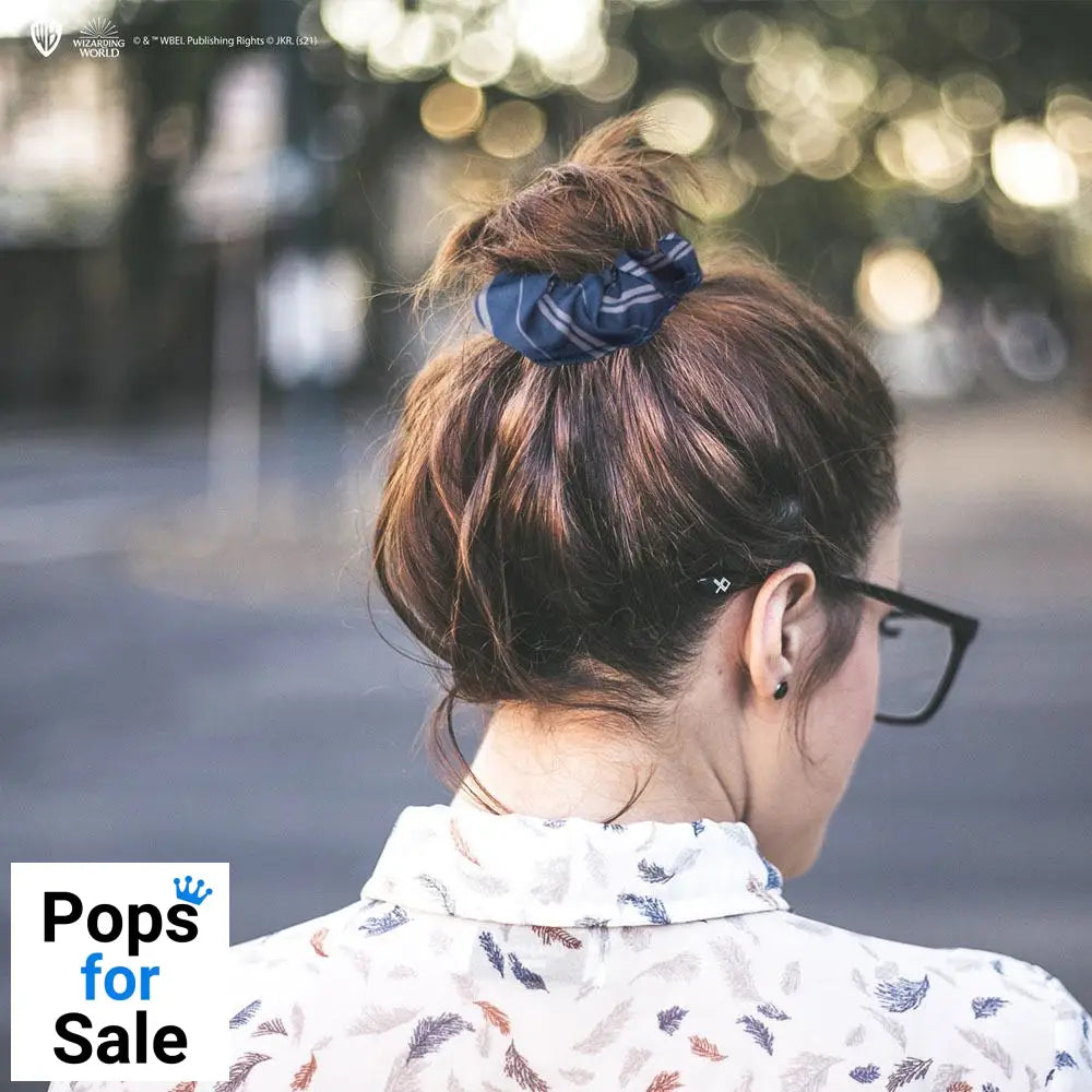 Harry Potter Classic Hair Accessories 2 Set Ravenclaw