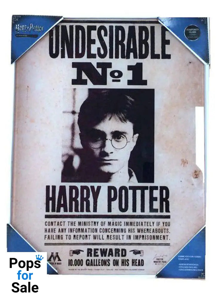 Harry Potter Glass Poster Undesirable No. 1 30 x 40 cm