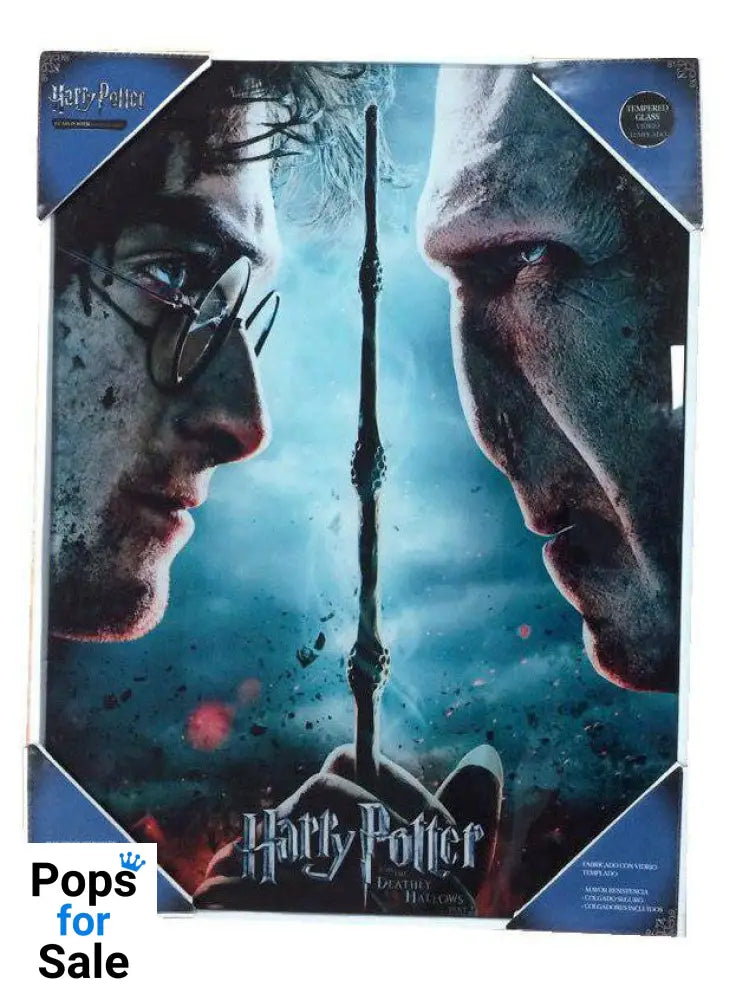 Harry Potter Glass Poster Harry & Voldemort 30 x 40 cm