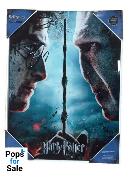 Harry Potter Glass Poster Harry & Voldemort 30 x 40 cm Posters & Wallscrolls