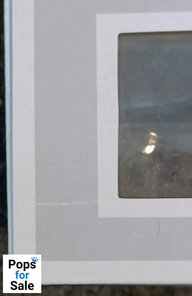 Harry Potter- Hermione- Ron- Dumbledore Funko POP - Box Damaged