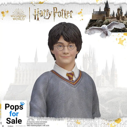 Harry Potter Life-Size Statue Harry Potter 174 cm