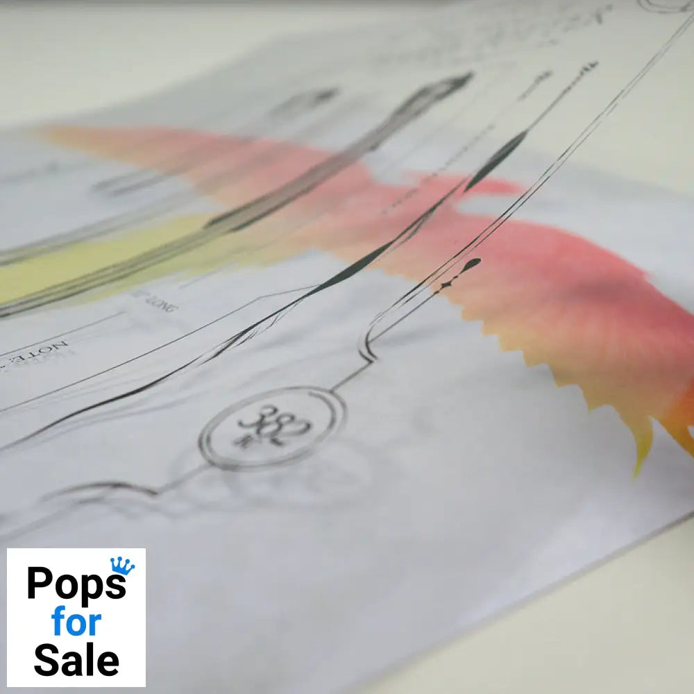 Harry Potter Limited Edition Fan-Cel Fan-Cel