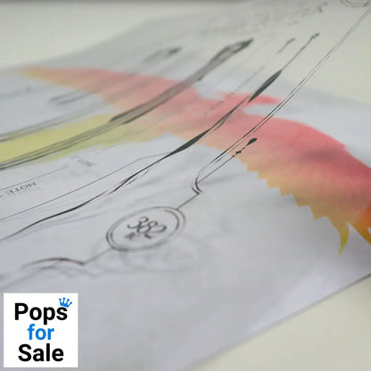 Harry Potter Limited Edition Fan-Cel Fan-Cel