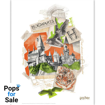 Harry Potter Limited Edition Lithograph Set Lithograph Set