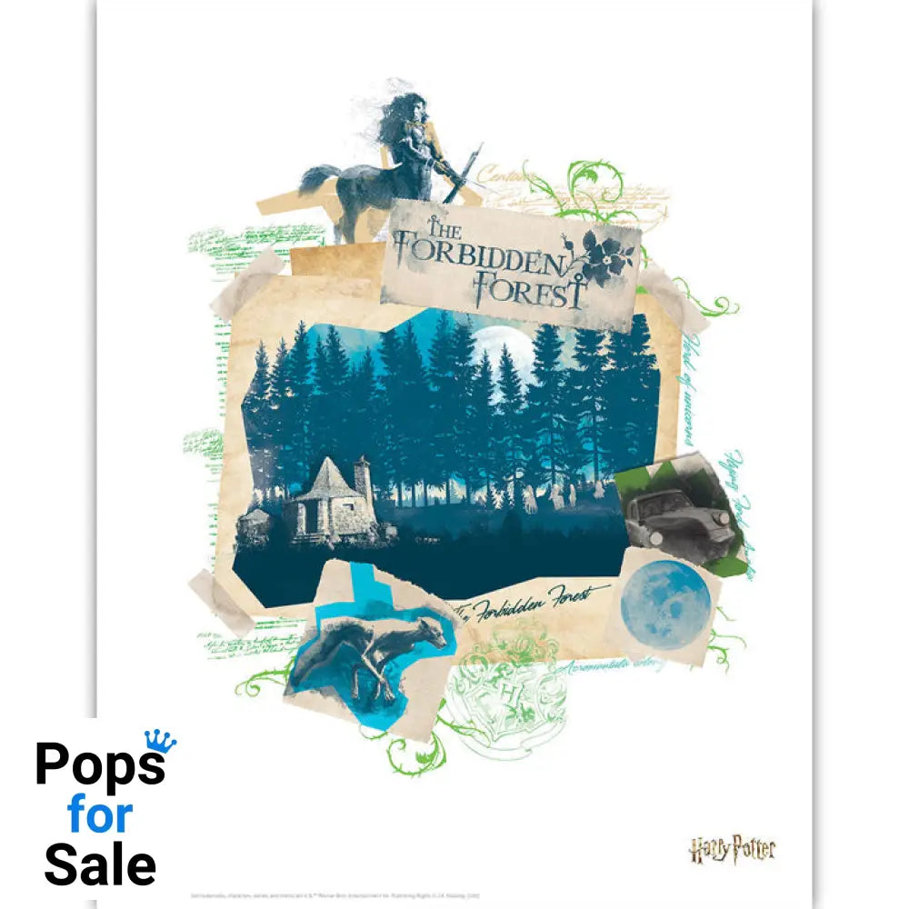 Harry Potter Limited Edition Lithograph Set Lithograph Set