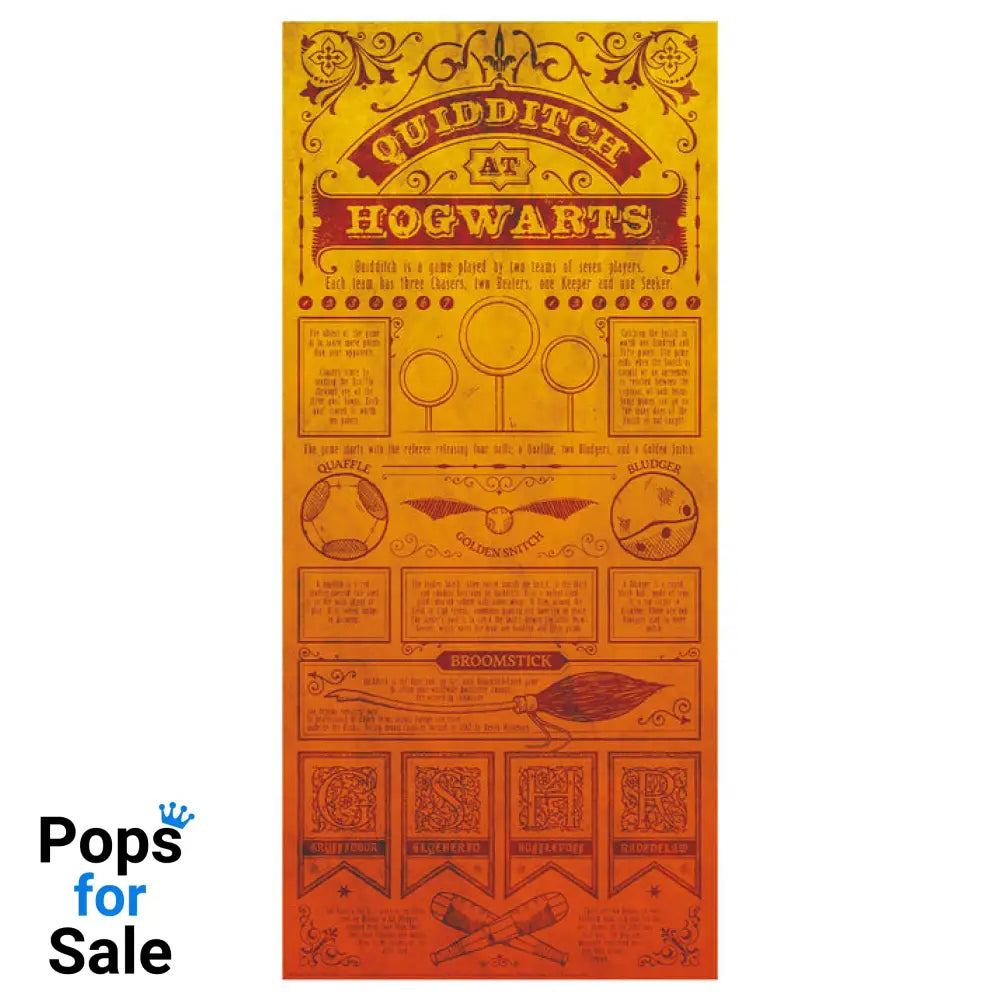 Harry Potter Limited Edition Quidditch Art Print Wall Art