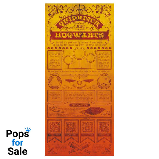 Harry Potter Limited Edition Quidditch Art Print Wall Art