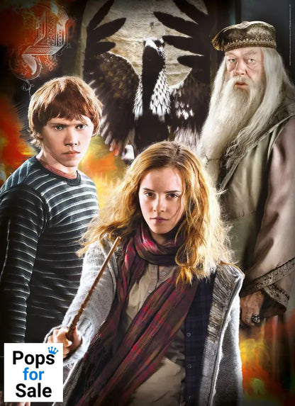 Harry Potter Multi Jigsaw Puzzle Characters (3 x 1000 pieces)