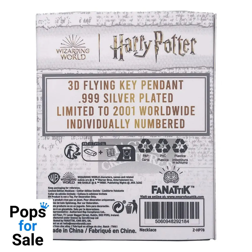 Harry Potter Necklace with Pendant Flying Key