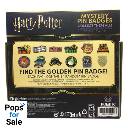 Harry Potter Pin Badge Mystery Pin Badge Display (12)