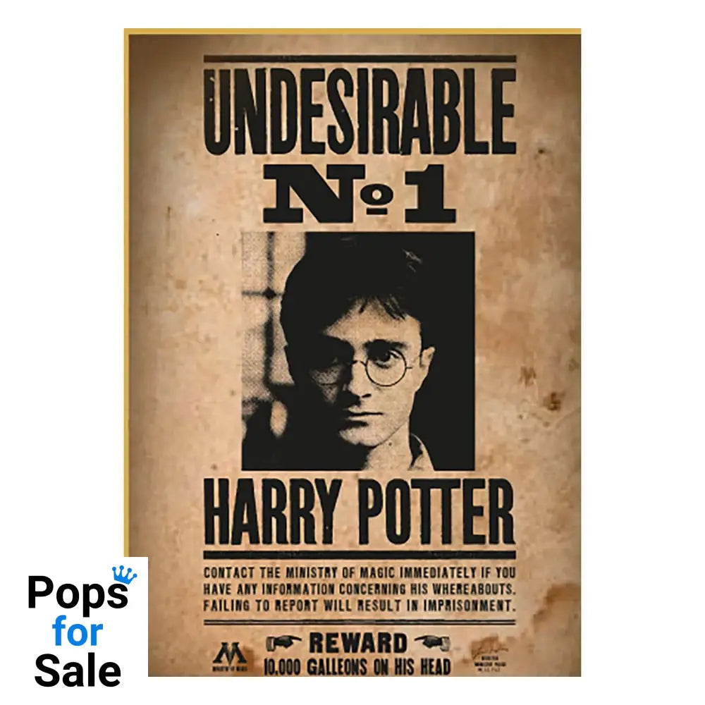 Harry Potter Puzzle Wanted No1 Harry Potter (50 pieces)