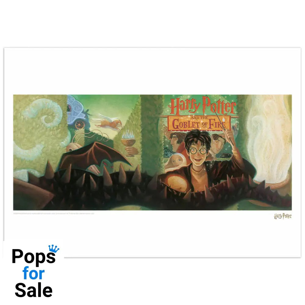 Harry Potter & the Goblet of Fire Book Cover Artwork Limited Edition Art Print Wall Art