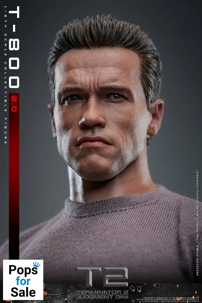 Hot Toys Terminator 2 Movie Masterpiece Action Figure 1/6 T-800 2.0 32 cm PRESALE