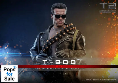 Hot Toys Terminator 2 Movie Masterpiece Action Figure 1/6 T-800 2.0 32 cm PRESALE