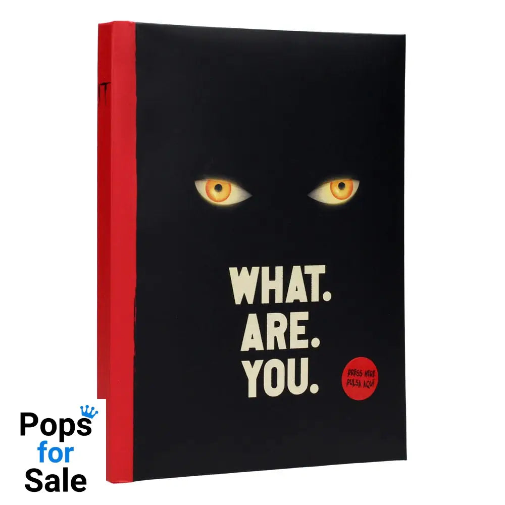 It Notebook with Light What are you