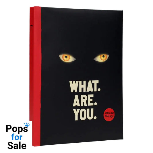 It Notebook with Light What are you