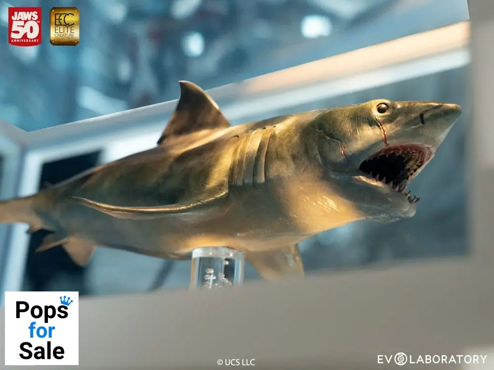 Jaws Maquette 1/18 Jaws Bronze 60 cm Statues