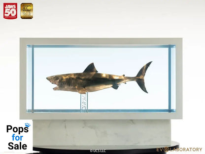 Jaws Maquette 1/18 Jaws Bronze 60 cm