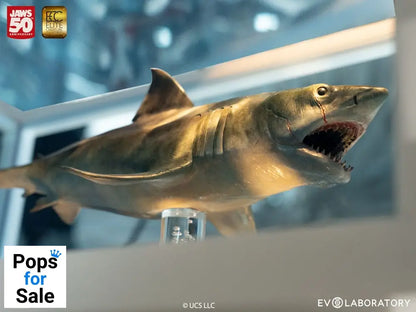 Jaws Maquette 1/18 Jaws Bronze 60 cm
