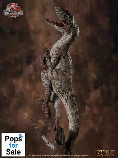 Jurassic Park III Maquette 1/4 Female Velociraptor White Queen 103 cm