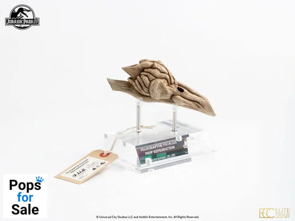 Jurassic Park III Prop Replica 1/1 Velociraptor Resonance Chamber 18 cm Replicas