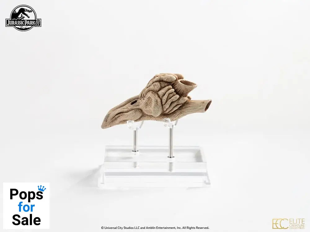 Jurassic Park III Prop Replica 1/1 Velociraptor Resonance Chamber 18 cm