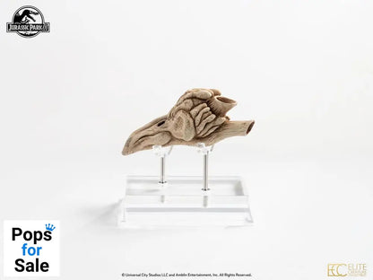 Jurassic Park III Prop Replica 1/1 Velociraptor Resonance Chamber 18 cm Replicas