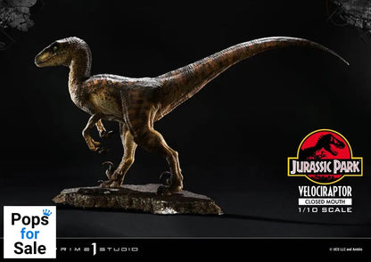 Jurassic Park Prime Collectibles Statue 1/10 Velociraptor Closed Mouth 19 cm Statues