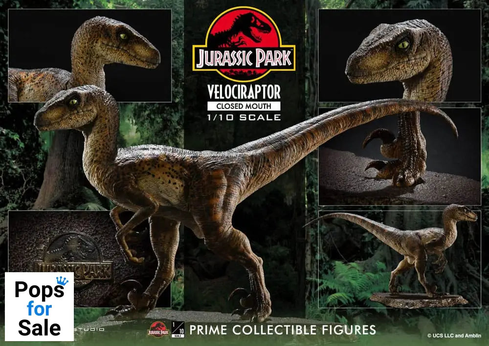 Jurassic Park Prime Collectibles Statue 1/10 Velociraptor Closed Mouth 19 cm