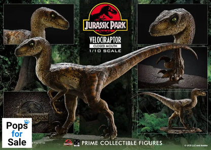 Jurassic Park Prime Collectibles Statue 1/10 Velociraptor Closed Mouth 19 cm