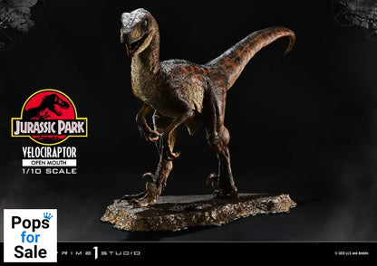 Jurassic Park Prime Collectibles Statue 1/10 Velociraptor Open Mouth 19 cm
