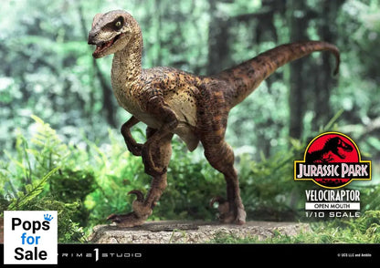 Jurassic Park Prime Collectibles Statue 1/10 Velociraptor Open Mouth 19 cm