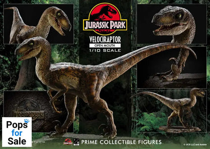 Jurassic Park Prime Collectibles Statue 1/10 Velociraptor Open Mouth 19 cm Statues