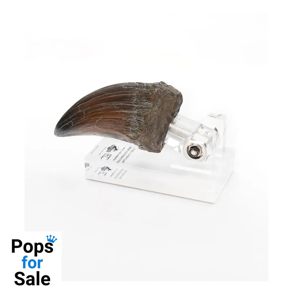 Jurassic Park Statue T-Rex Hand Claw 13 cm